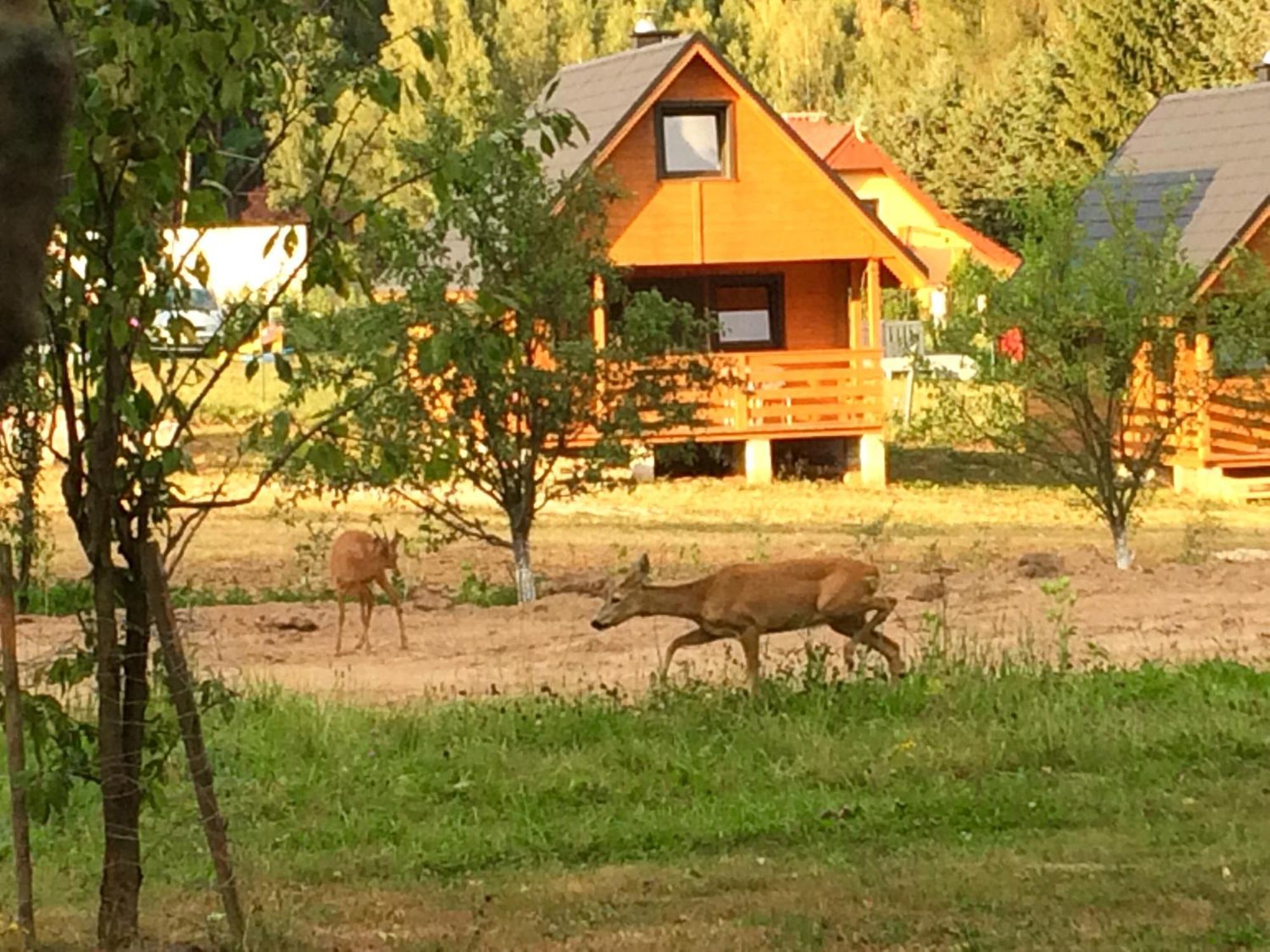 Domek Letniskowy Radkow Luaran gambar